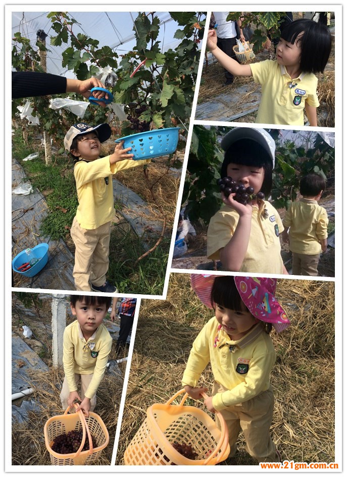 揭陽(yáng)一品偉才幼兒園親子秋游活動(dòng)