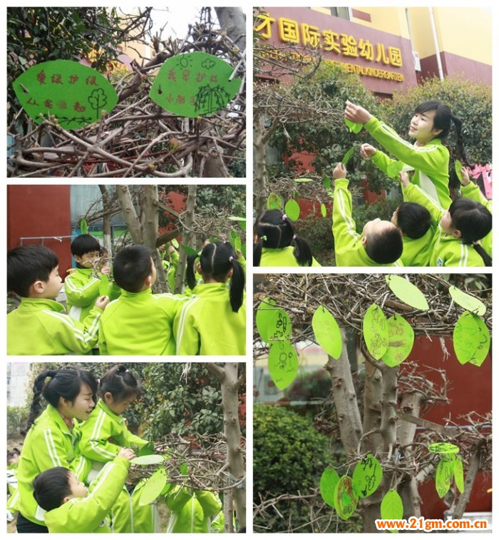 添一點(diǎn)新綠，溫馨又美好——湖北仙桃和合偉才幼兒園植樹節(jié)活動