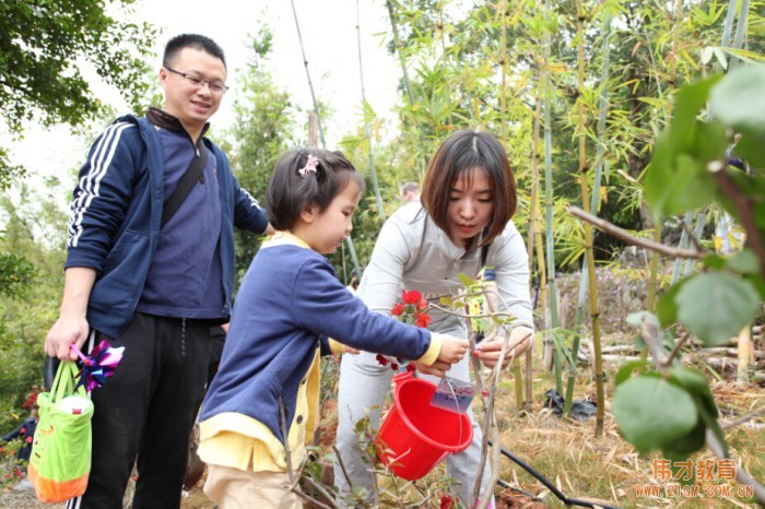 廣西南寧美泉偉才幼兒園開展植樹節(jié)公益活動