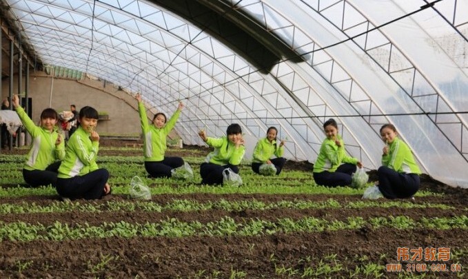 營口幼兒園加盟有什么好處？