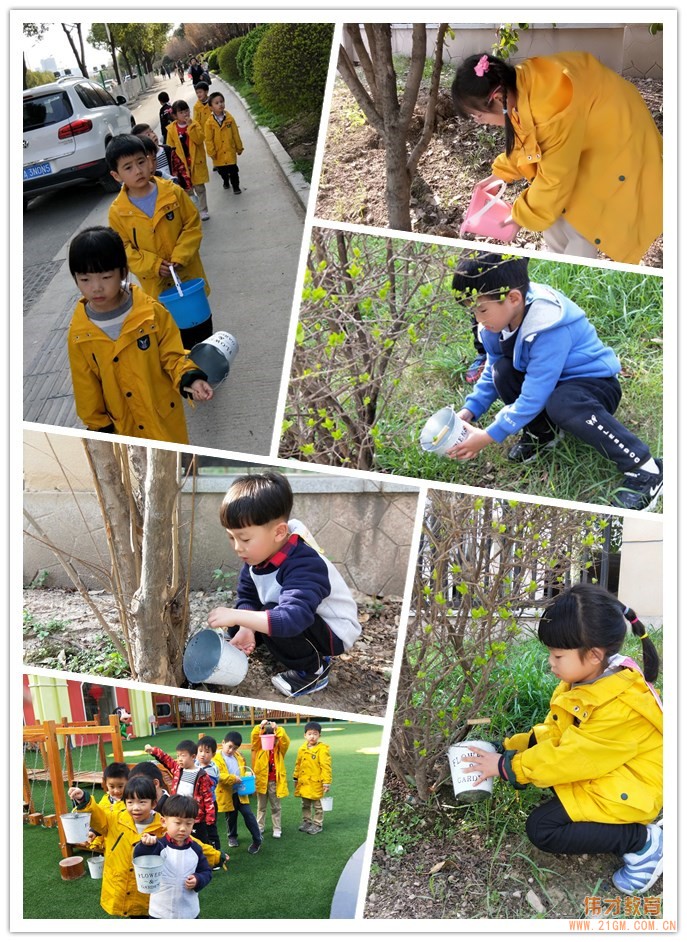 湖北武漢水岸星城偉才國際幼兒園：植一顆種子，育一顆大樹