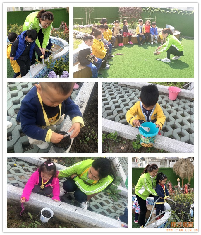 湖北武漢水岸星城偉才國際幼兒園：植一顆種子，育一顆大樹