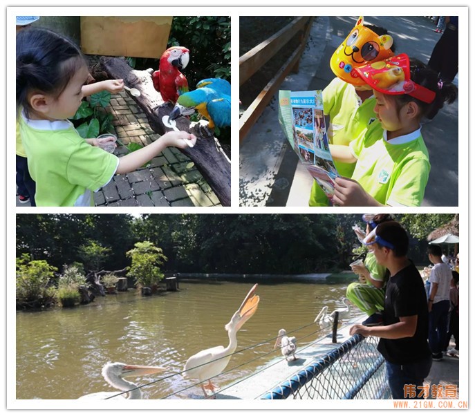 小鳥，你好！ 廣東中山東升偉才幼兒園親子研學(xué)之旅