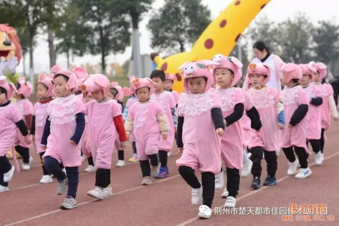 湖北荊州楚天都市佳園偉才幼兒園：森林運(yùn)動(dòng)會(huì)