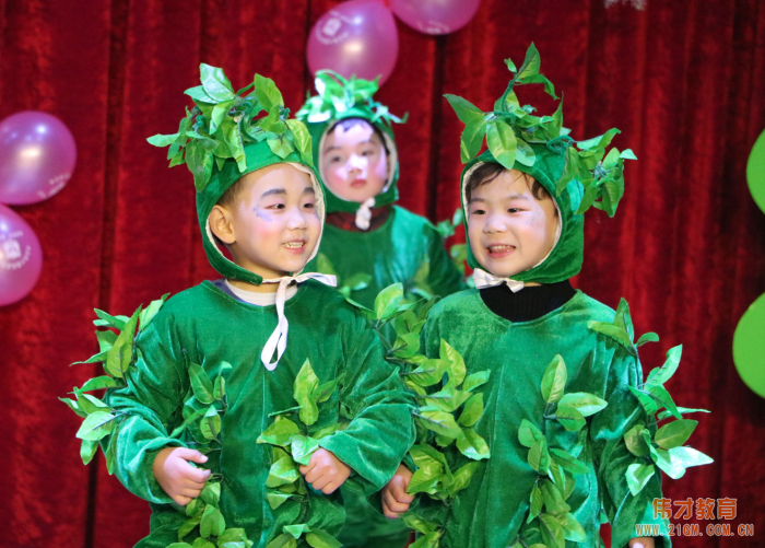 湖北仙桃和合偉才幼兒園：“迎新年，我又長大了一歲”成長見證會