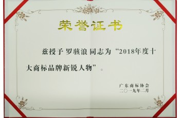 偉才教育董事長羅駭浪榮獲“2018年度十大商標(biāo)品牌新銳人物”