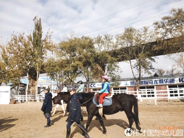 遼寧大連偉才幼兒園：馬術(shù)課