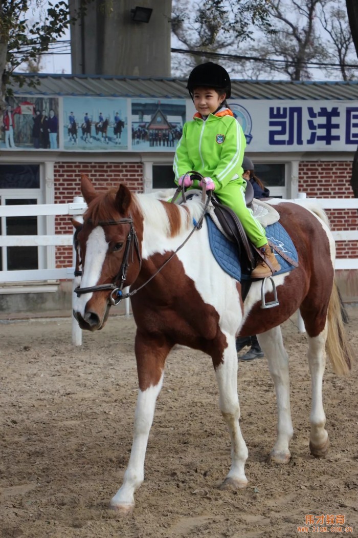 遼寧大連偉才幼兒園：馬術(shù)課