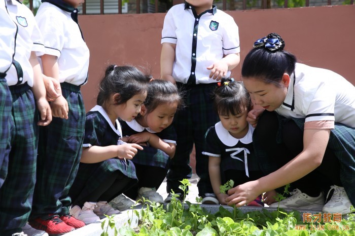 托兒所、幼兒園建筑設計規(guī)范重要條文解讀