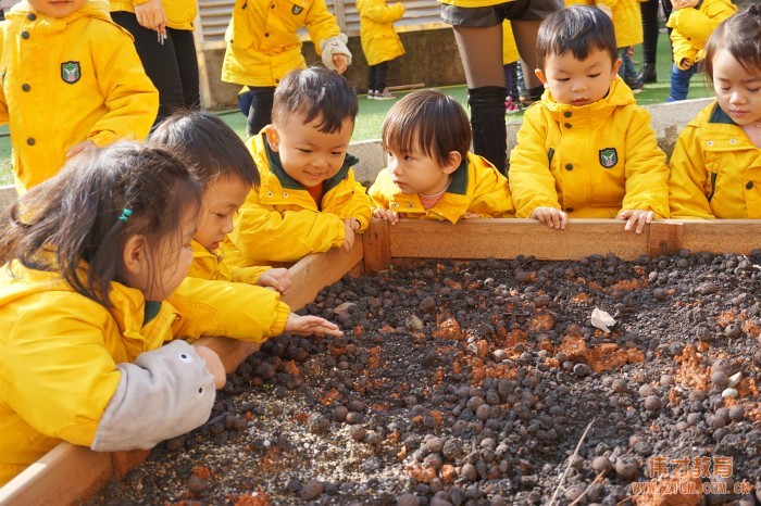 如何向新入園的家長反饋孩子一日活動(dòng)信息？