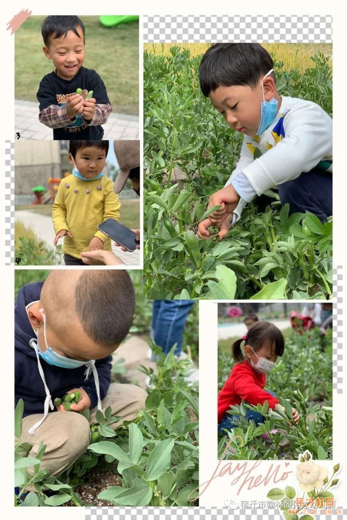 開園僅一年，江蘇省宿遷市翰林閣偉才幼兒園實現(xiàn)滿園！