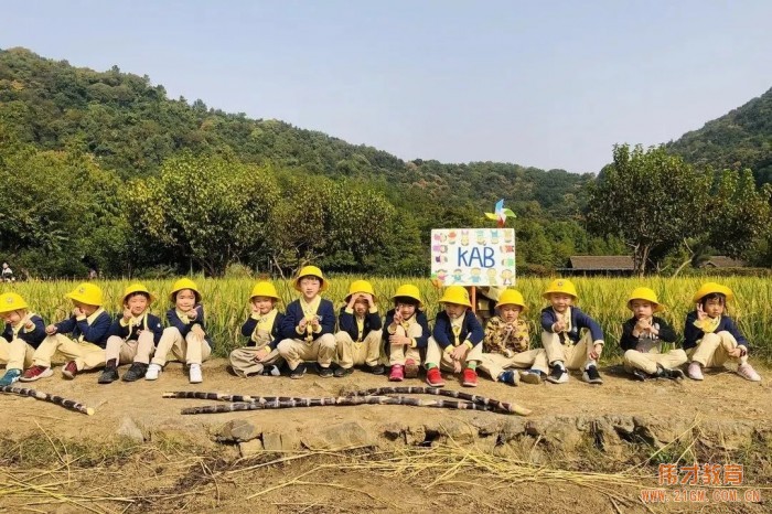 浙江杭州西溪偉才幼兒園：再見，森林小時光