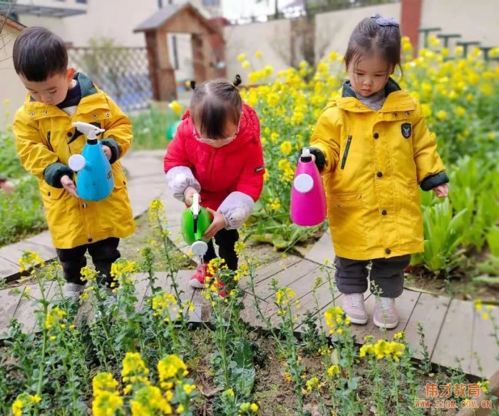 春風(fēng)十里，正“植”有你——江蘇蘇州雀梅偉才幼兒園植樹(shù)節(jié)活動(dòng)