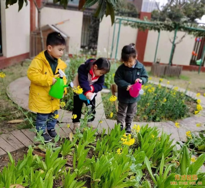 春風(fēng)十里，正“植”有你——江蘇蘇州雀梅偉才幼兒園植樹(shù)節(jié)活動(dòng)