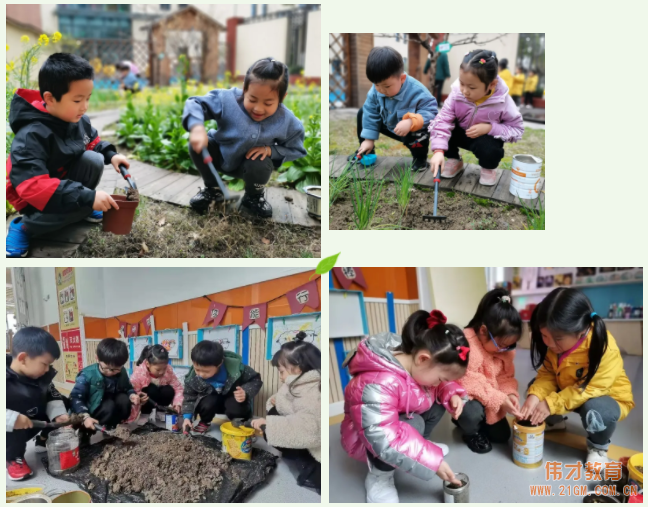 春風(fēng)十里，正“植”有你——江蘇蘇州雀梅偉才幼兒園植樹(shù)節(jié)活動(dòng)