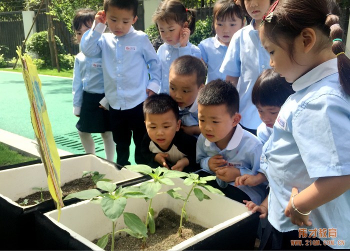 以愛做教育，用心伴成長——厚永幼兒園走進(jìn)廣西欽州靈山縣！