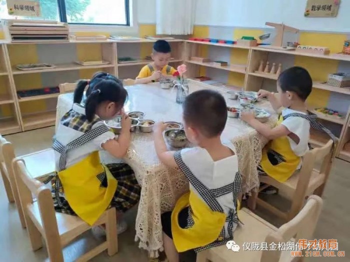 偉才園所丨“暑”你精彩，四川儀隴金松湖偉才幼兒園快樂(lè)暑假班