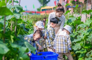 2022年，民辦園抬頭看天